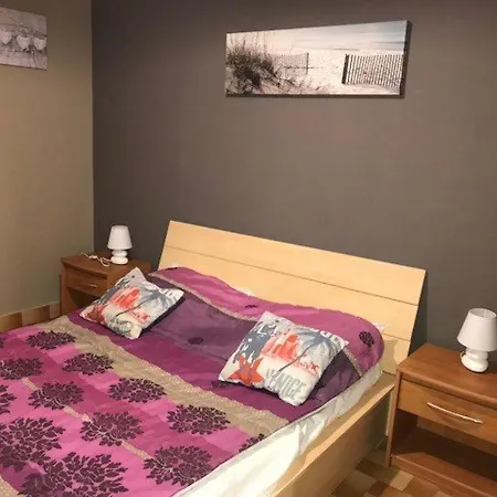 Apartment T2 4 Pers. Face Mer, Parking Prive A Port Barcares - Fr-1-81-336